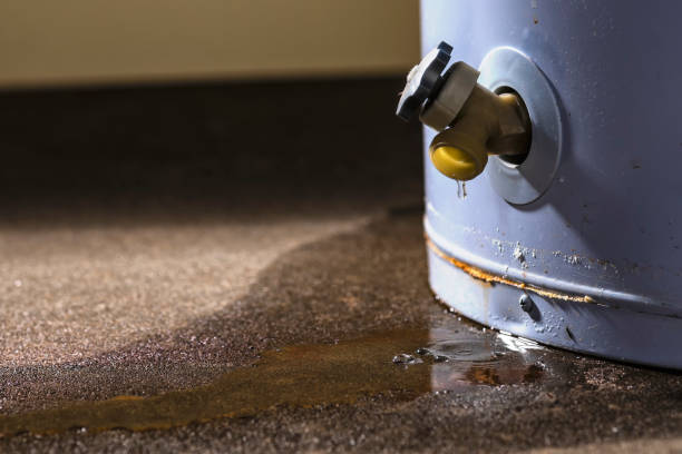 Best 24/7 water damage repair  in Lucasville, OH