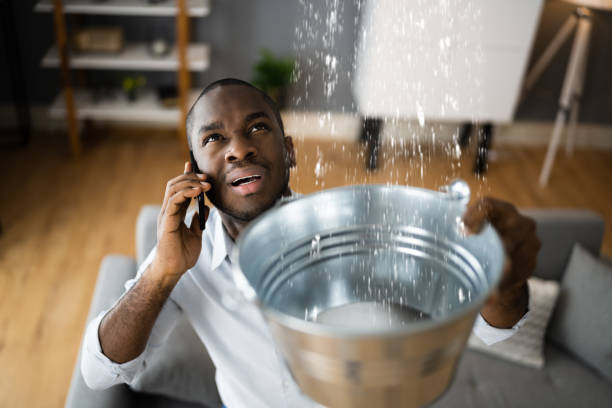 Best Water damage restoration services  in Lucasville, OH