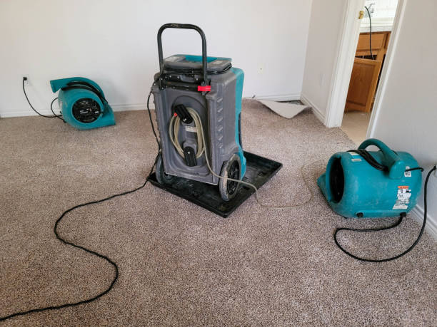 Best Ceiling water damage repair  in Lucasville, OH