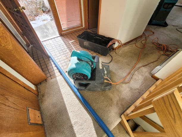 Best Basement water damage restoration  in Lucasville, OH
