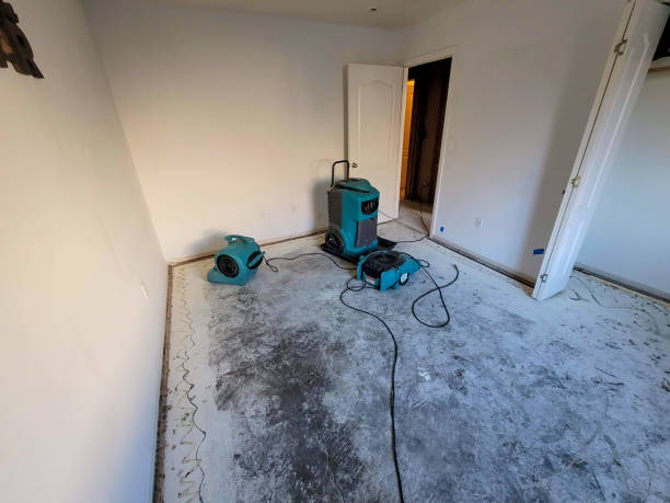 Best Ceiling water damage repair  in Lucasville, OH