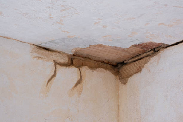 Best Water damage restoration near me  in Lucasville, OH