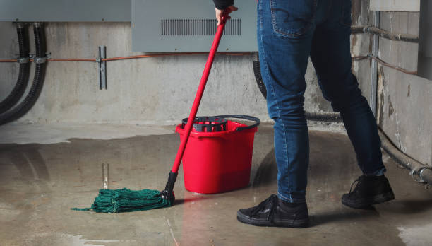 Best Water damage restoration near me  in Lucasville, OH