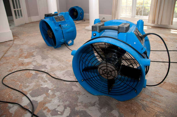Best Professional water damage repair  in Lucasville, OH