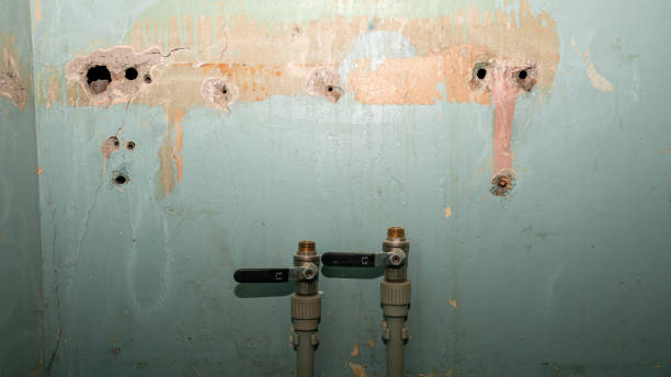 Best Flooded house restoration  in Lucasville, OH