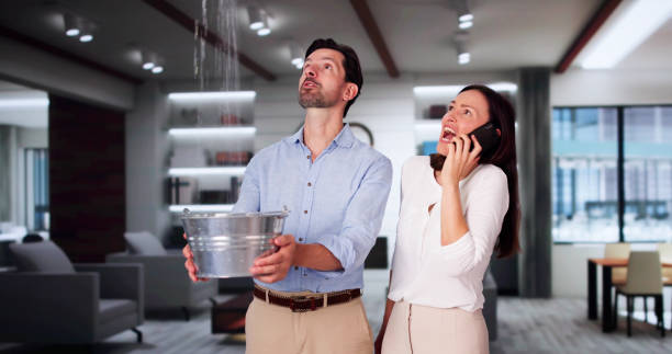Best Sewage cleanup and water damage restoration  in Lucasville, OH