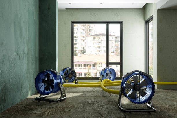 Best Sewage cleanup and water damage restoration  in Lucasville, OH